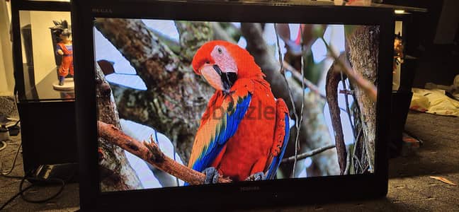 TOSHIBA tv not smart and without remote 30 inch like new