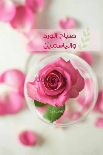 مطلوب شخص لمشاركة. سكن