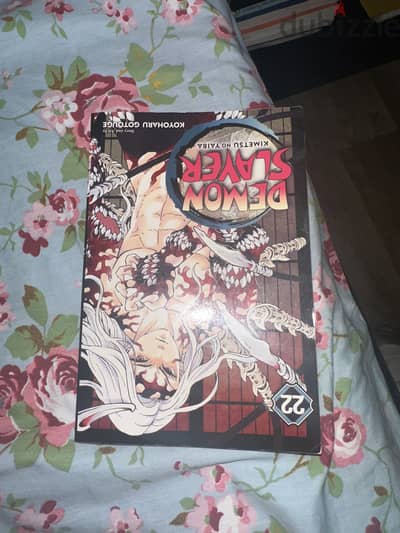 2 Manga Both in Great condition no tear I have only read them once