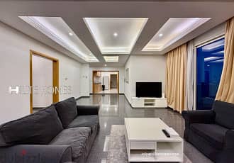 Fully Furnished Two Master Bedroom Penthouse for Rent in Fintas 17