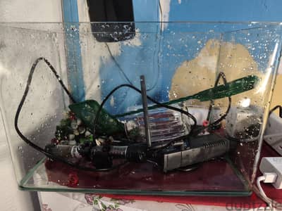 Fish tank and fish for sale