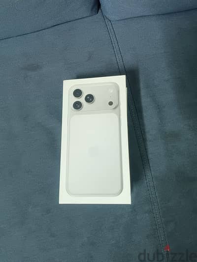 17 PROMAX 256GB SILVER COLOR