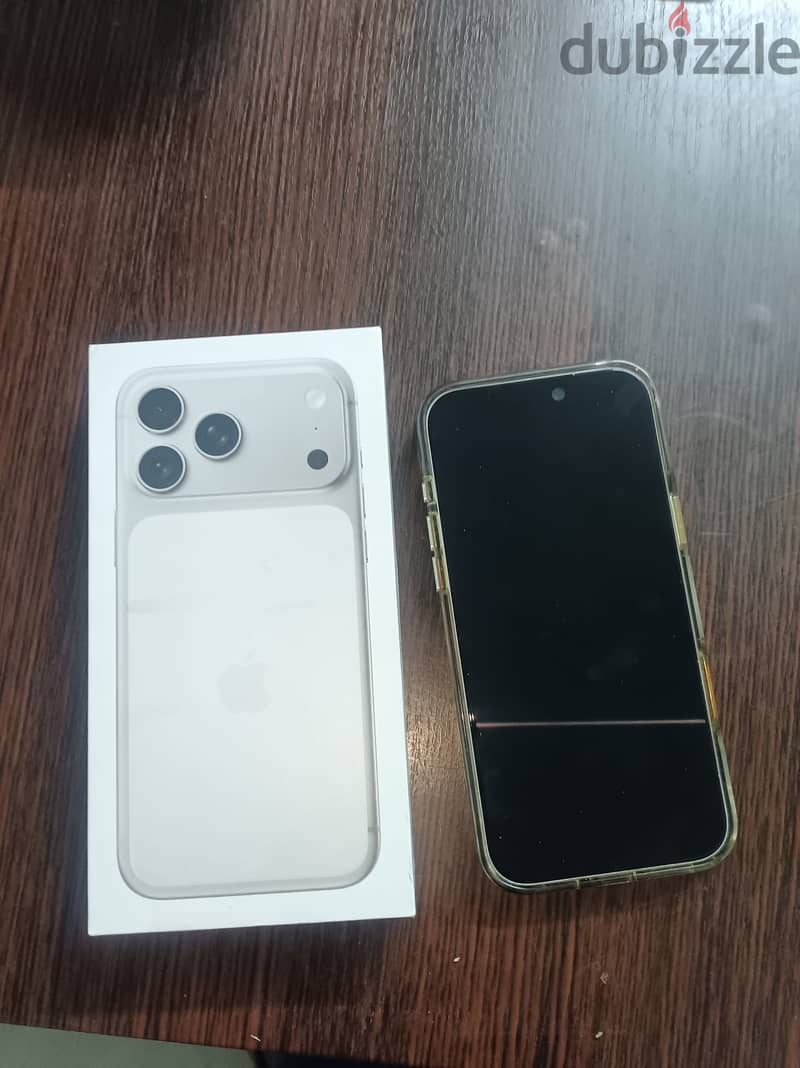 17 PROMAX 256GB SILVER COLOR 4