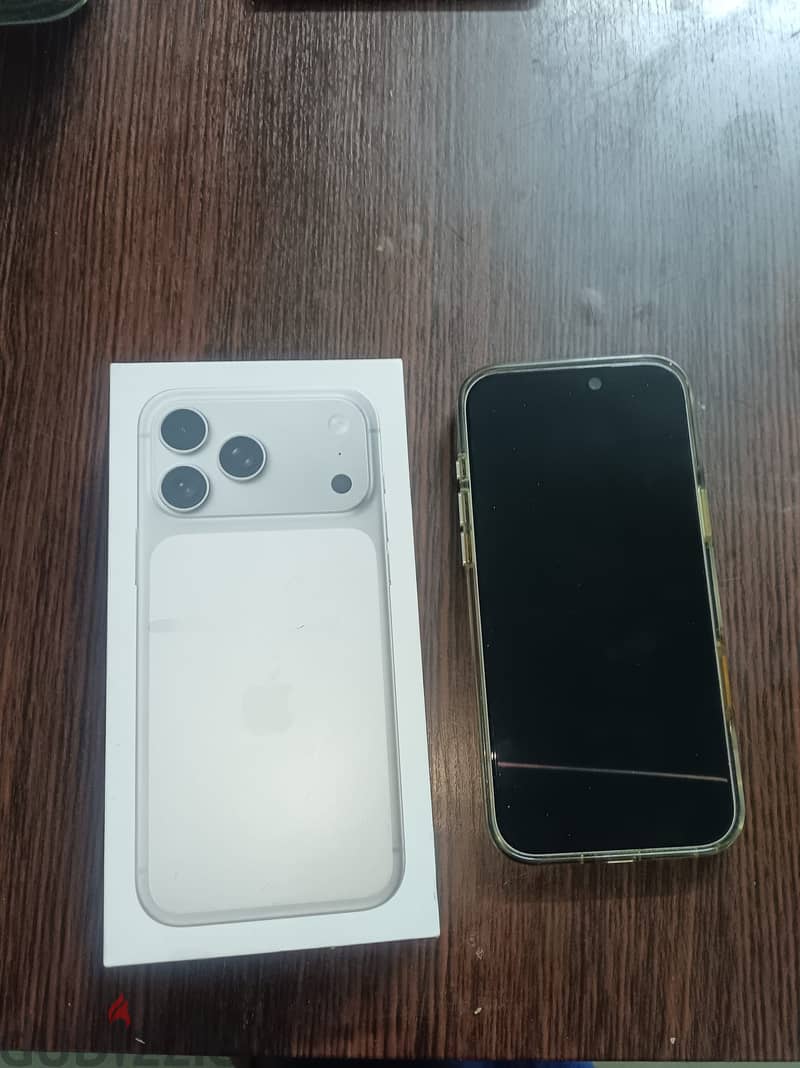 17 PROMAX 256GB SILVER COLOR 5