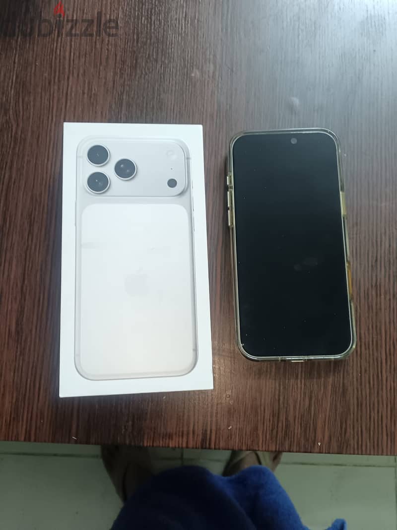 17 PROMAX 256GB SILVER COLOR 6