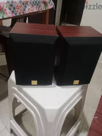Pioneer Surround Speakers