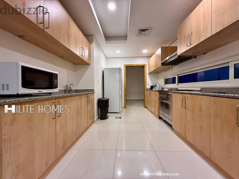 Fully Furnished Two Master Bedroom Penthouse for Rent in Fintas 5