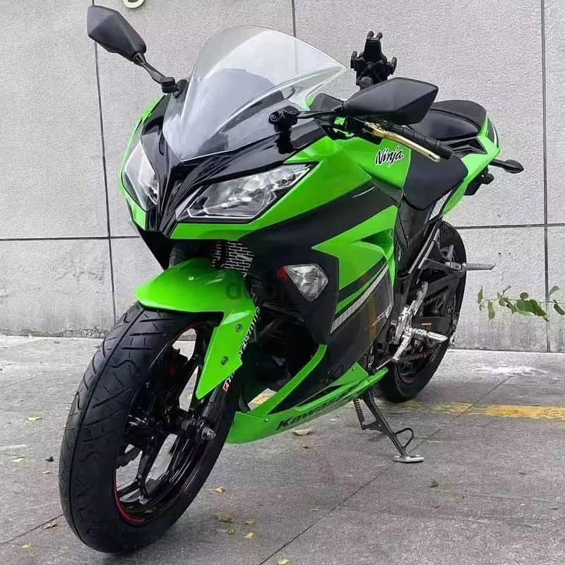 Kawasaki Ninja Sport Bike 1