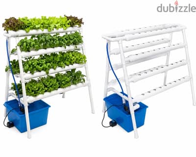 نظام الزراعة المائية Hydroponic NFT الذي يعمل بدون تربة،