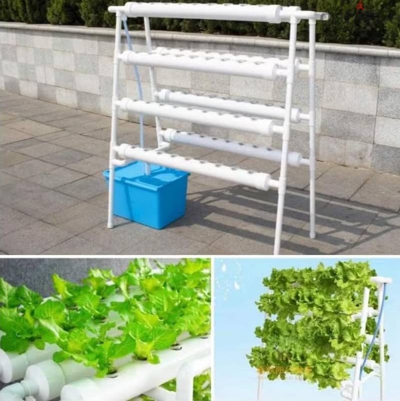 نظام الزراعة المائية Hydroponic NFT الذي يعمل بدون تربة، 1