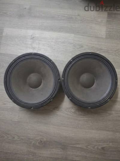15 inch ev speaker. 500 watts
