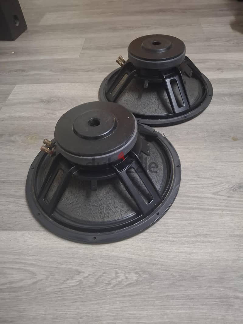 15 inch ev speaker. 500 watts 1