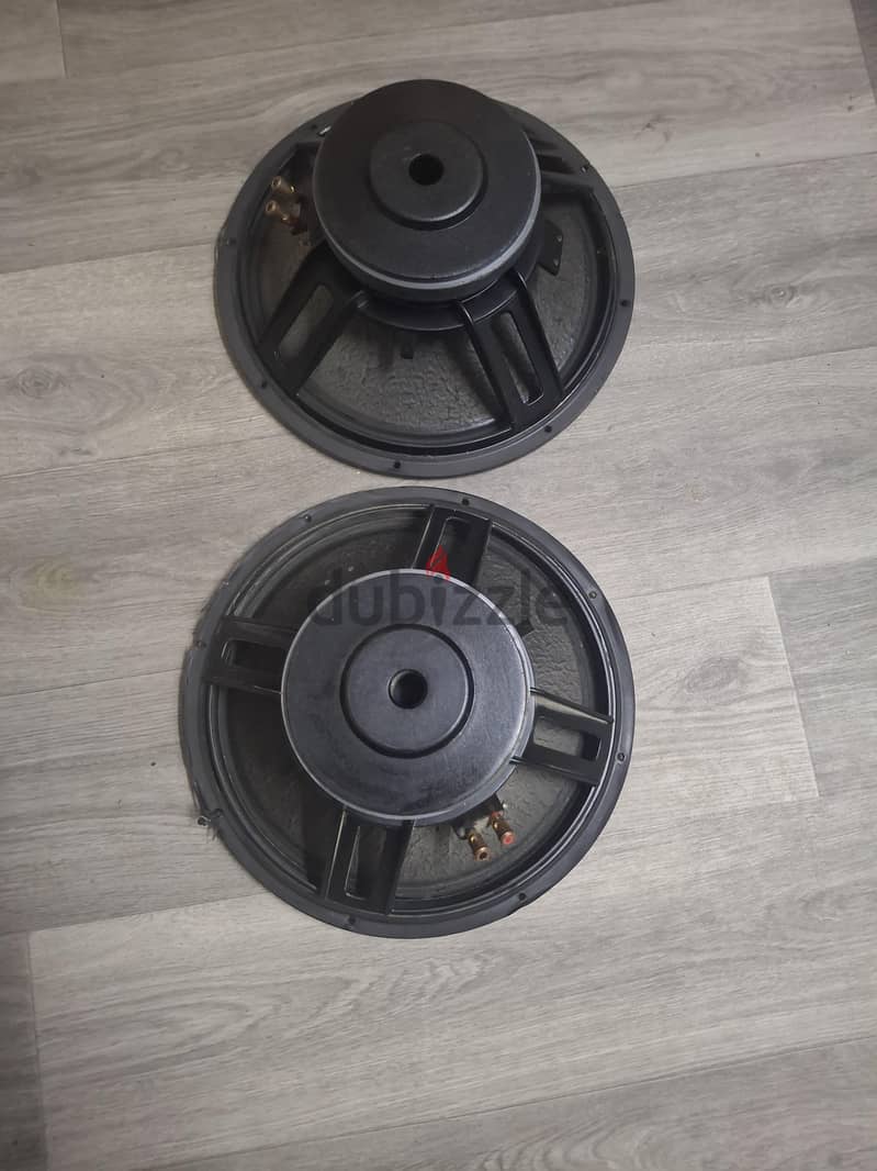15 inch ev speaker. 500 watts 2