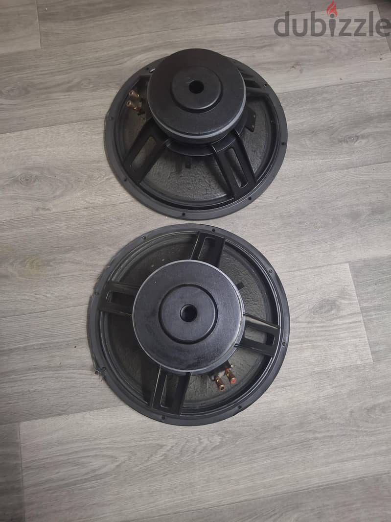 15 inch ev speaker. 500 watts 3