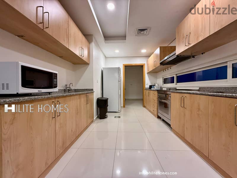 Fully Furnished Two Master Bedroom Penthouse for Rent in Fintas 5