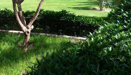 Awesome 5 bedrooms duplex with garden in bayan