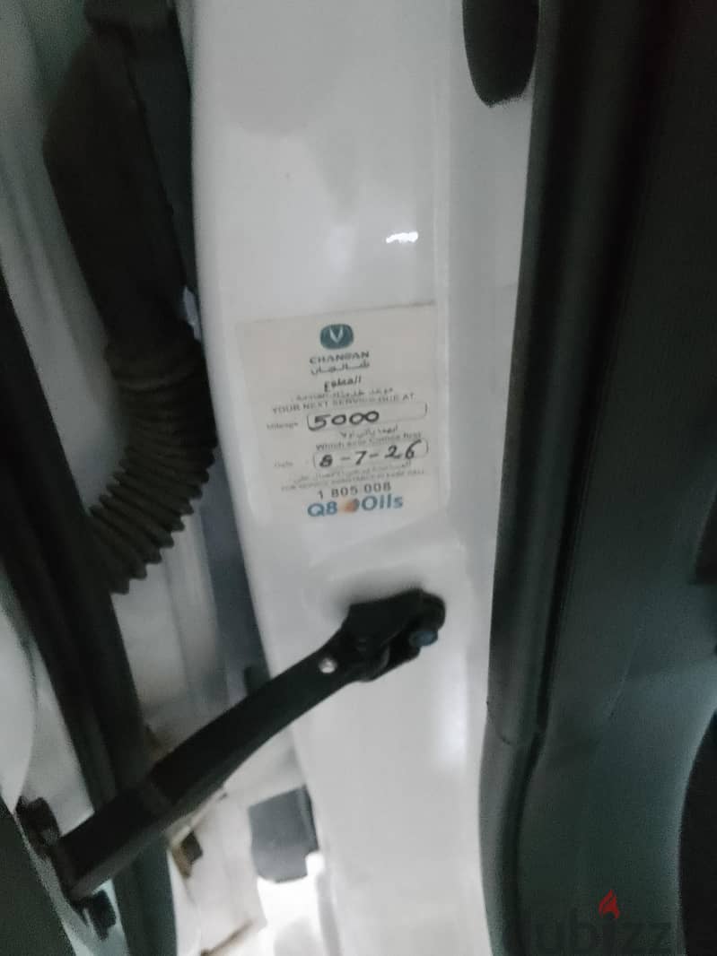 شانجان إيدو 2026 4