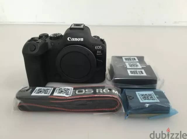Canon EOS R6 Mark II 3