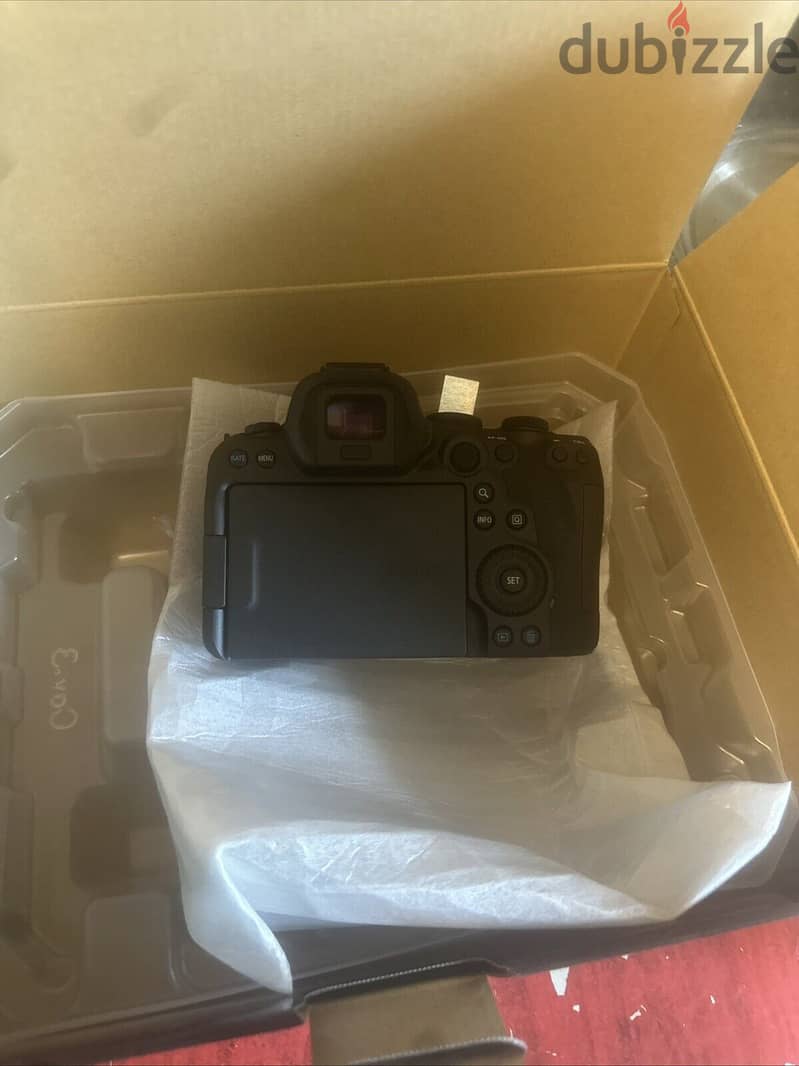 Canon EOS R6 Mark II 5