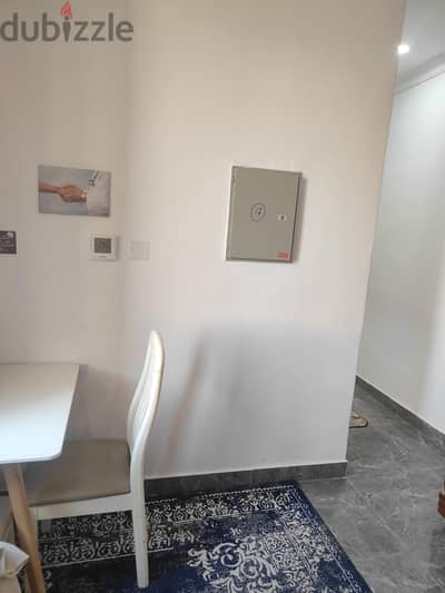 vacational apartment for 3 months 1 November to onwards