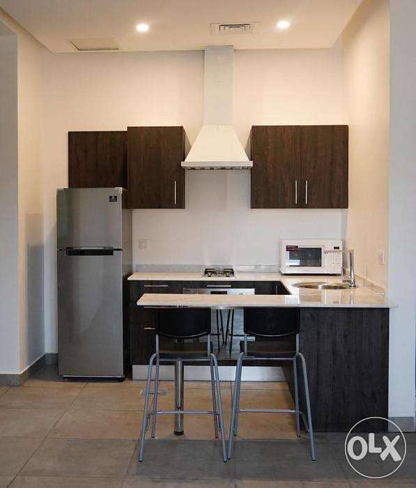Furnished 1 BR in Massayal 4