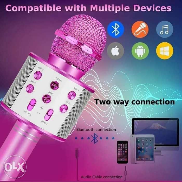 Wireless Bluetooth Karaoke Speaker 0