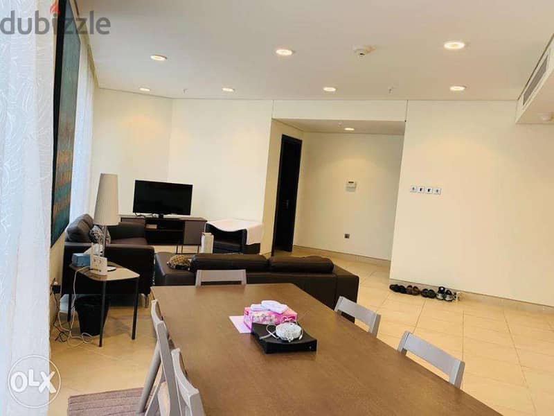 Brand new furnished apartment - SHAAB 0