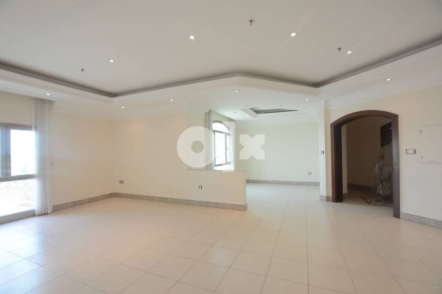 Spacious  3 BR apartment 9