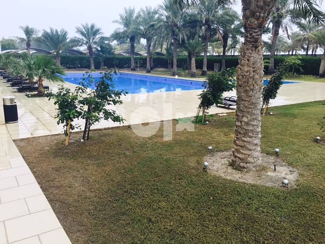 3 BR Duplex in Salmiya ( Sea View ) 5