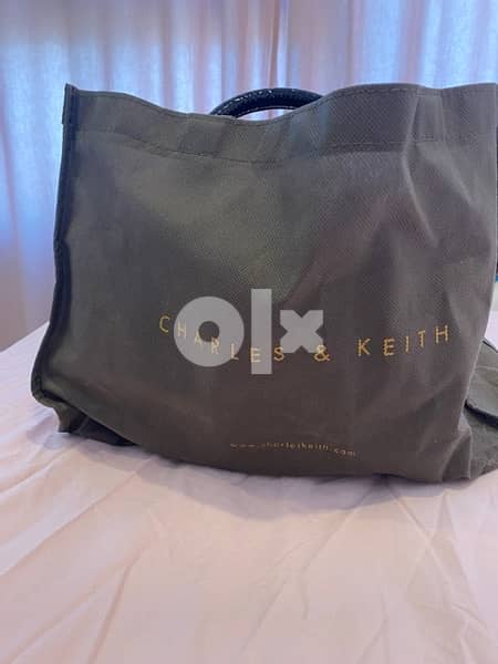 charles and keith bag - Brand New never worn 3