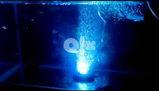 Aquarium Under water light