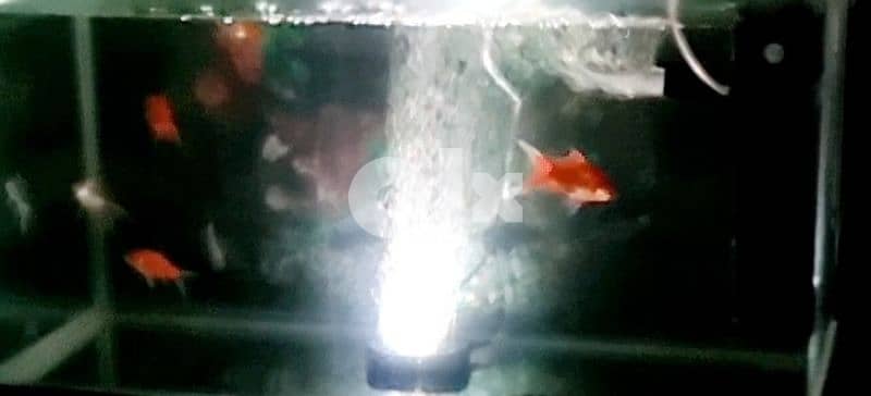 Aquarium Under water light 3