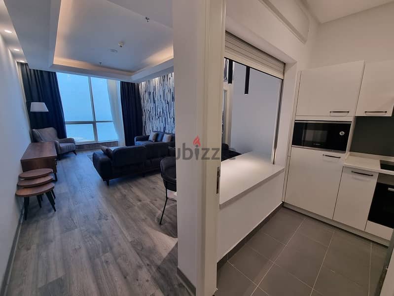 Modern 1 and 2 BR ( Sea View ) 6