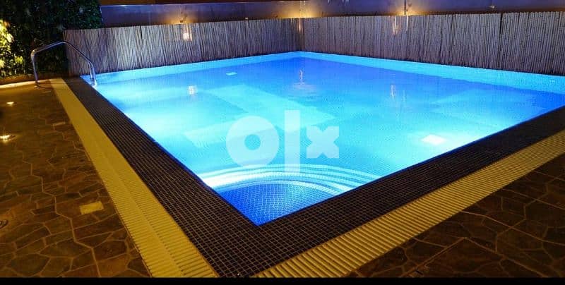 amazing fully furnished villa flat with pool and gym in Masayel 0