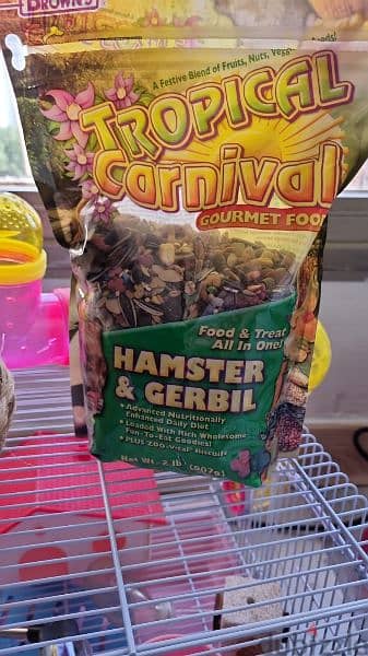 Syrian Hamster large cage and toys 2