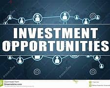 we are looking for global profitable investment project