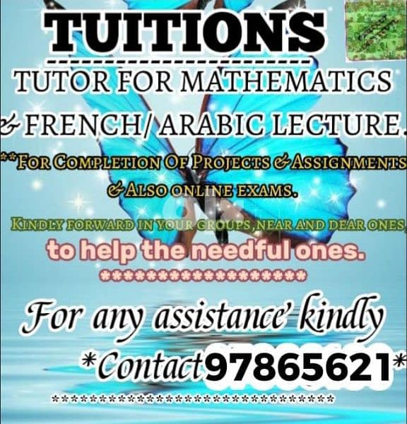 LECTURE 4 BILLINGUAL SCHOOLS BY HIGHLY QUALIFIED LADYTEACHER 97865621 0