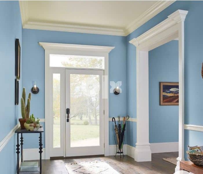 Room painter door paint and all paint service very low price 12