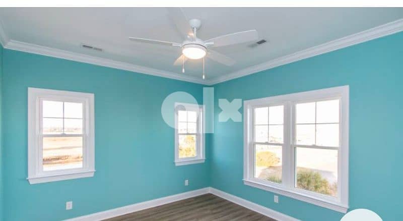 Room painter door paint and all paint service very low price 17